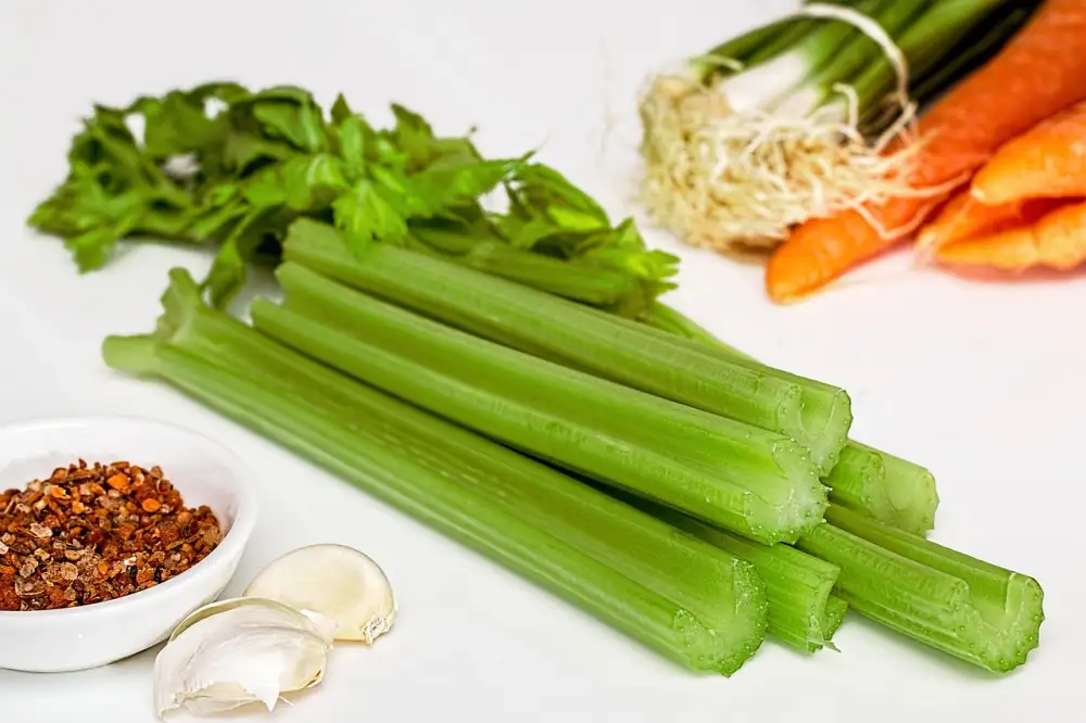 Celery Recipes