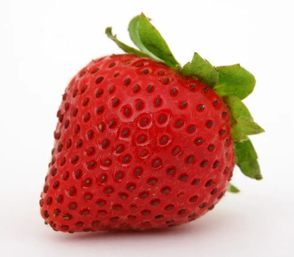 Best Way To Store Strawberries