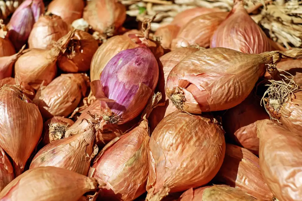 Substitute For Shallots